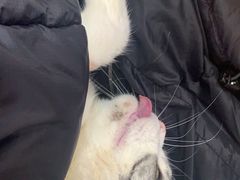 -联合动物医院(光谷诊疗中心)