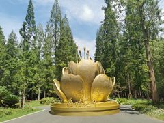 -东平国家森林公园