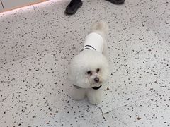 -瑞派康怡24h宠物医院·犬猫医疗中心·微创绝育(瑞景分院)