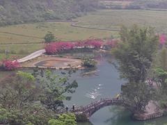 -靖西鹅泉风景区