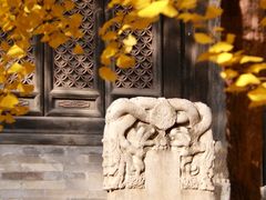 -阳台山自然风景区