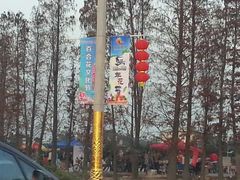 -万顷园艺世界