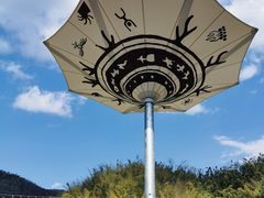 -西双版纳原始森林公园