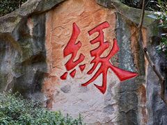 -杭州黄龙洞