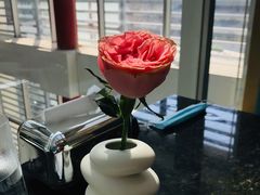 -王家渡火锅店(棕榈泉店)