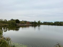 -东郊湿地公园