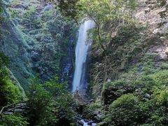 -莫里热带雨林景区