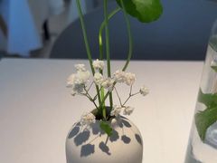 -春树下·树屋花房西餐厅(罍街AS1980店)