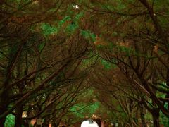 -南岳衡山风景名胜区-南岳大庙