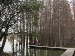 -采石矶景区