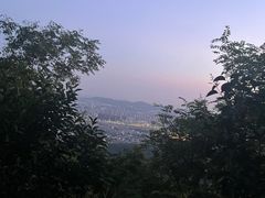 -紫金山山顶公园