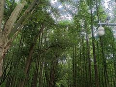 -东湖落雁景区