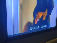 -蓉府金足印象(新城市广场26分店)