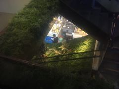-星龙海鲜(望江东路店)