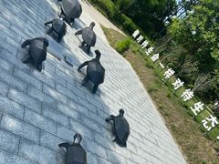 -广东惠东海龟国家级自然保护区
