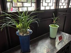 -上海醉白池公园