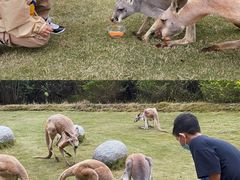-泉州海丝野生动物世界