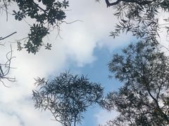 -九日山