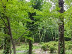 -宝岩生态观光园