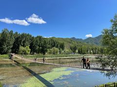 -白河湾生态旅游一条川