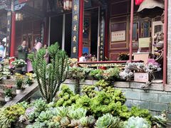 -寂照庵