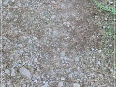 -金谷域澳洲庄园