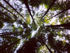-山王坪喀斯特国家生态公园