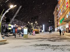 -高新活力汇Vitality