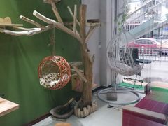-猫亿天猫咖