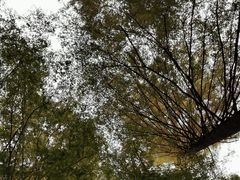 -山王坪喀斯特国家生态公园