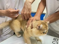 -爱侣宠医·鹦鹉专科·小型哺乳类·异宠专科(灵石路店)