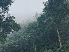 -梧桐山风景名胜区