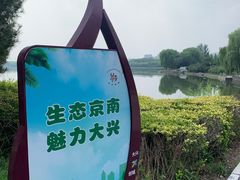 -大兴滨河森林公园