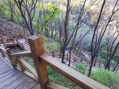 -大岭沟猕猴桃谷风景区