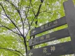 -南山植物园