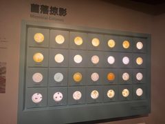 -四川大学博物馆