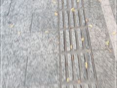 -矿泉游泳场