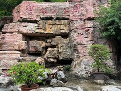 -攀枝花公园