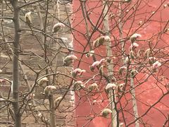 -东华门大街小区