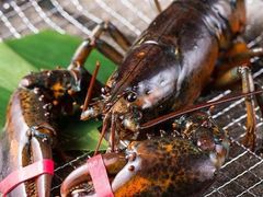 -神戸たん龍(生田新道店)