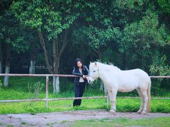 -太阳岛度假酒店