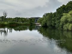 -新江湾城公园