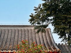 -春风习习