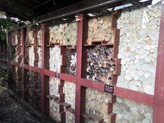 -南越王博物院(王宫展区)