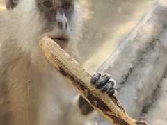 -泉州海丝野生动物世界