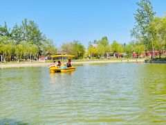 -杨柳青庄园
