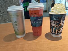 -雾与山茶(大禹城店)