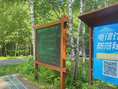 -汤旺河林海奇石景区