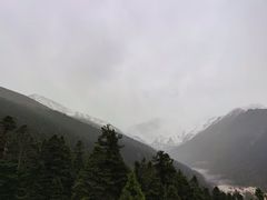 -黄龙山原始森林景区