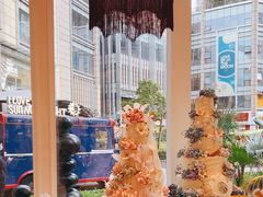 -杜哈夫DOUX RÊVE·生日蛋糕(日月光店)